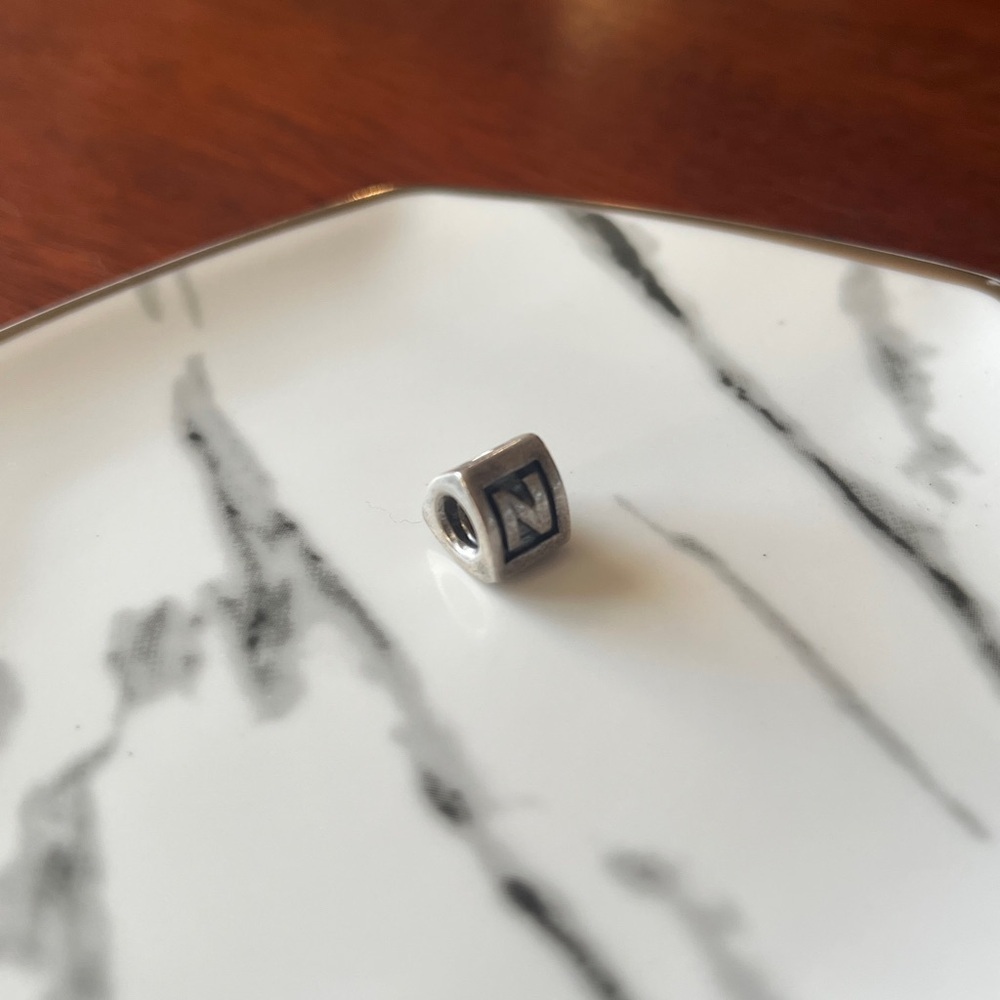 Pandora N Charm